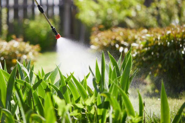 24/7 Emergency Wasp Removal experts in Leland, MS